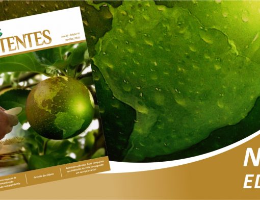capa revista vertentes axis junho