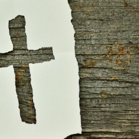 cruz vida consagrada religiosa