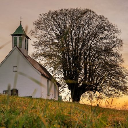 patrimonio igreja servicos assistenciais artigo axis