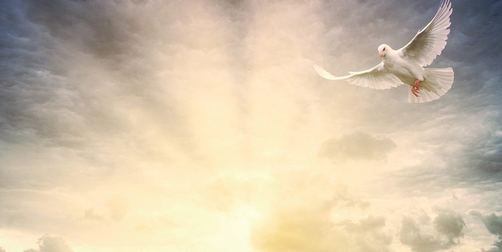 pascoa paz papa igreja catolica 2022 axis