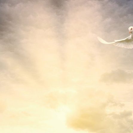 pascoa paz papa igreja catolica 2022 axis