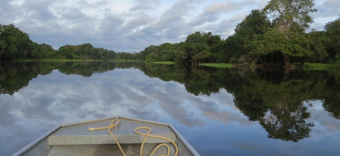 Amazonia Brasil Papa Terra Santa