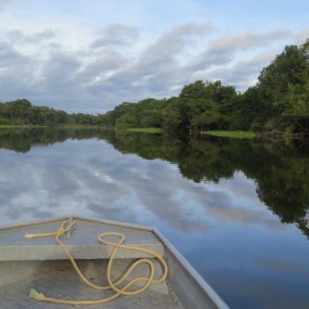 Amazonia Brasil Papa Terra Santa