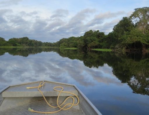 Amazonia Brasil Papa Terra Santa