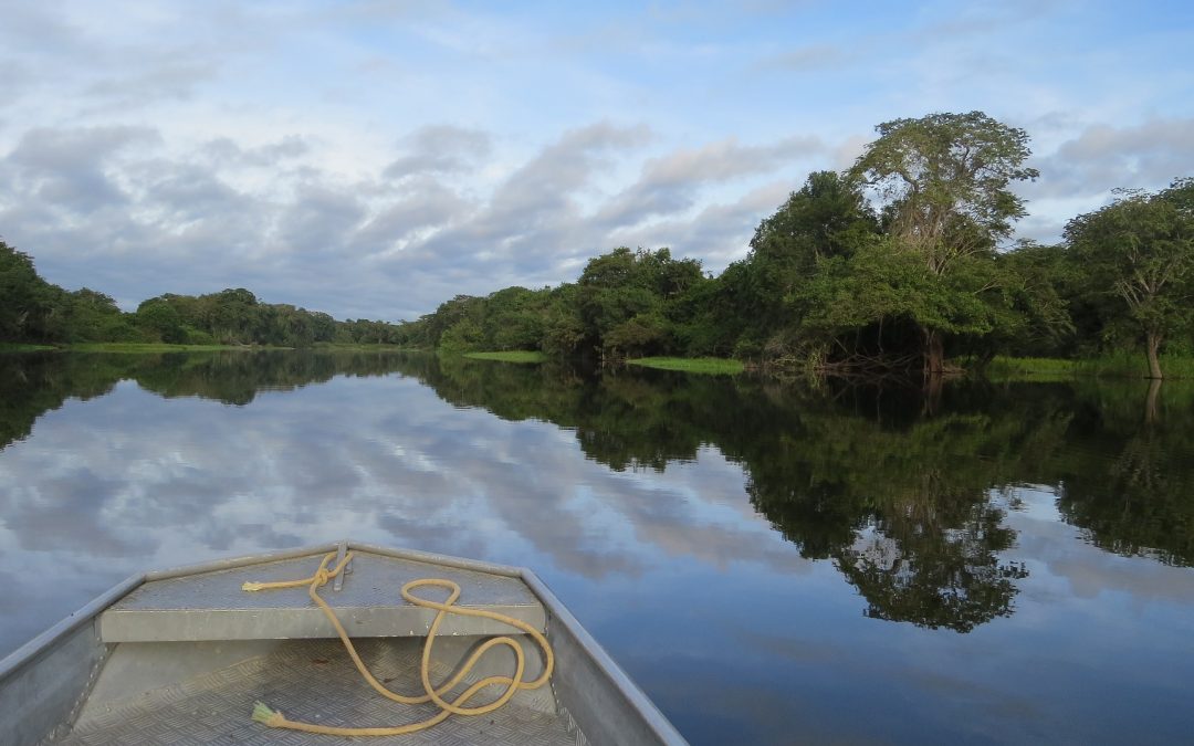 Papa anuncia o Sínodo para a Pan-amazônia em 2019